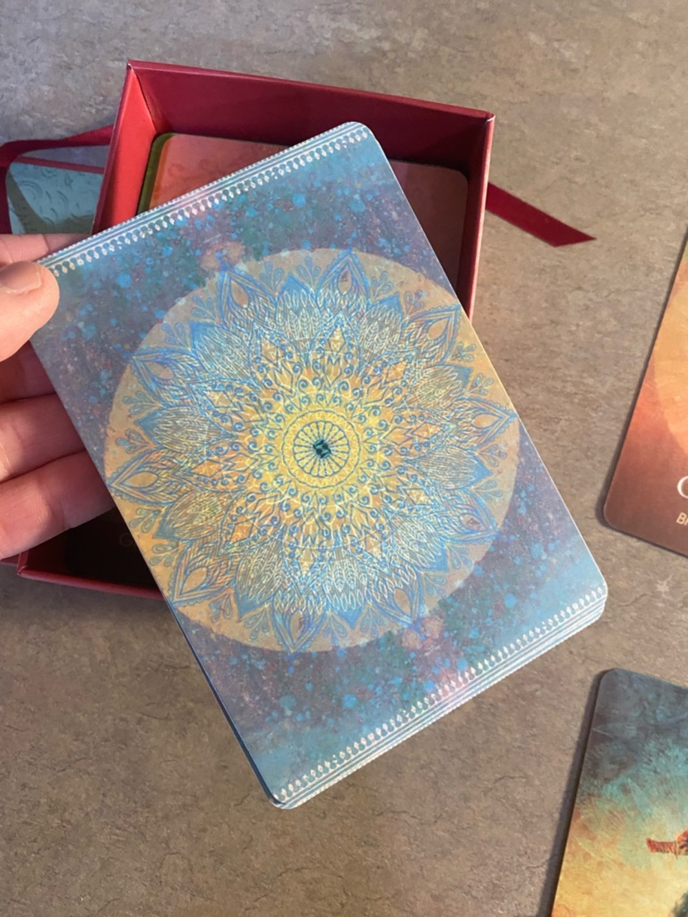 Colette Baron-Reid The Spirit Animal Oracle - Pastel Gradient Box - Picture 8 of 8